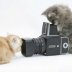 Funny Pictures Of Photographers