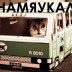 Funny Kitten Video Free