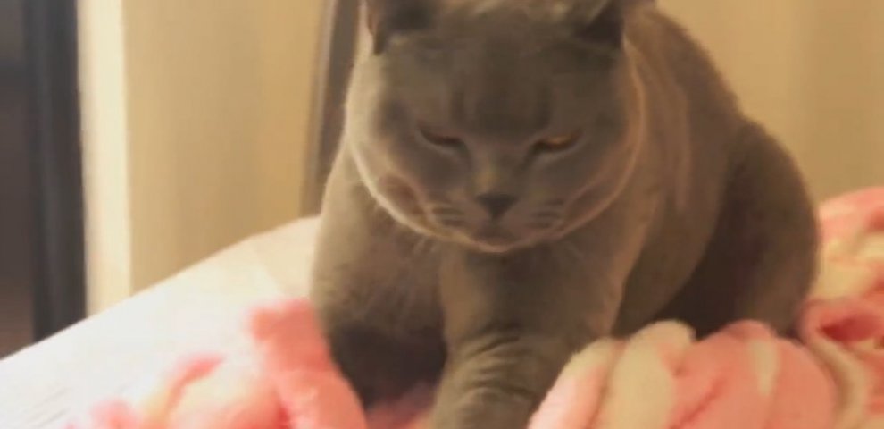 Funny videos