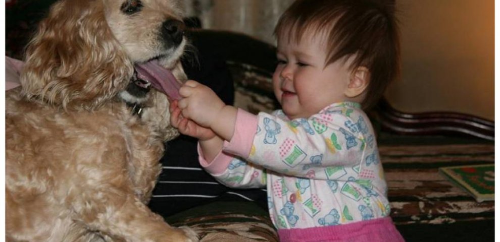 Funny pictures