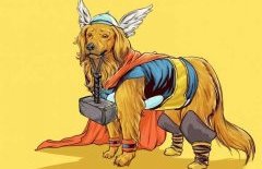 Собаки-супергерои: смешные картинки домашних любимцев