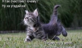 стишок про котенка - я так счастлив