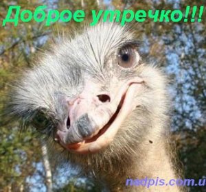 Very Funny Picture