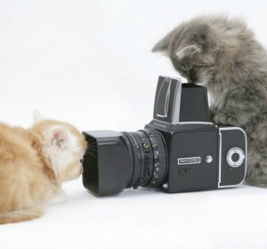 Funny Pictures Of Photographers