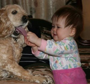 Funny Pictures Of Animals For Children