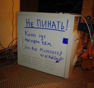 Video Of Fun Watching Everyone