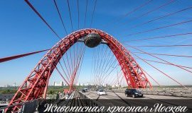 Живописная красная Москва (16 фото)